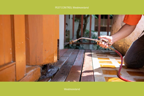 PEST CONTROL Westmoreland